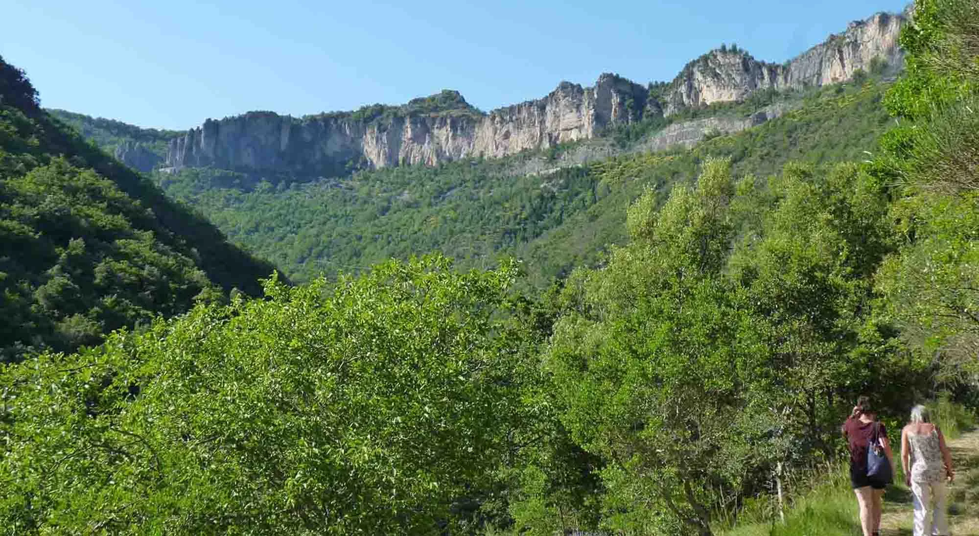 Pas de l'Escalette qui voit s'écouler la Lergue à la descente du Larzac